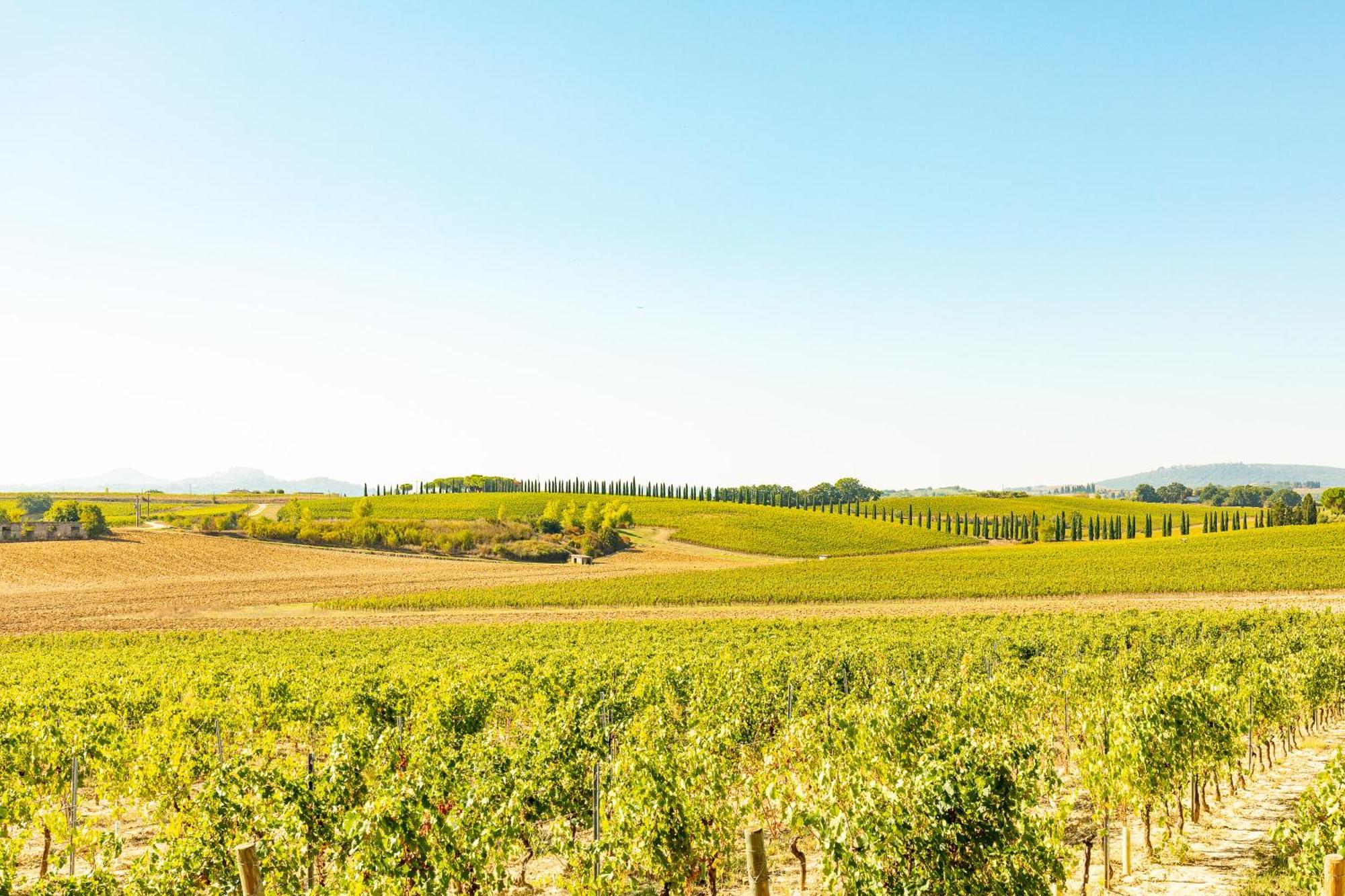 Appartamento Greppino Montepulciano Stazione Exterior foto